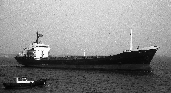 Rey Fruela by F. Estrañi Rey Fruela by F. Estrañi